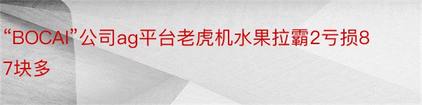 “BOCAI”公司ag平台老虎机水果拉霸2亏损87块多